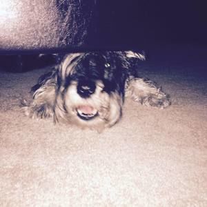 Meet your Posher, Anita