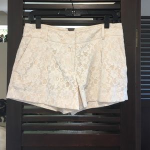 BCBG lace shorts