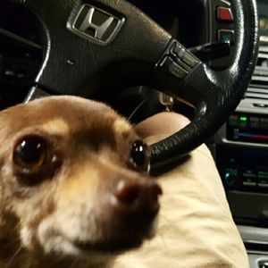 Meet your Posher, Anthony