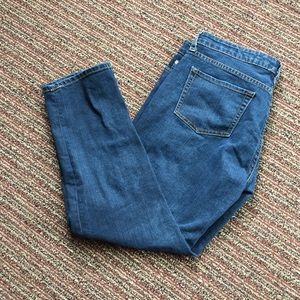 GAP Premium Skinny Jeans 10S