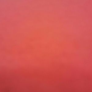 Meet your Posher, Marcela