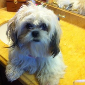 Meet your Posher, Christine