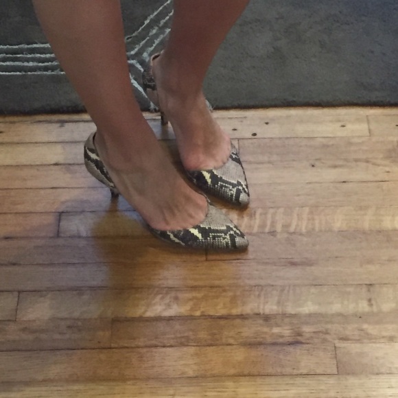 Sam Edelman python pumps