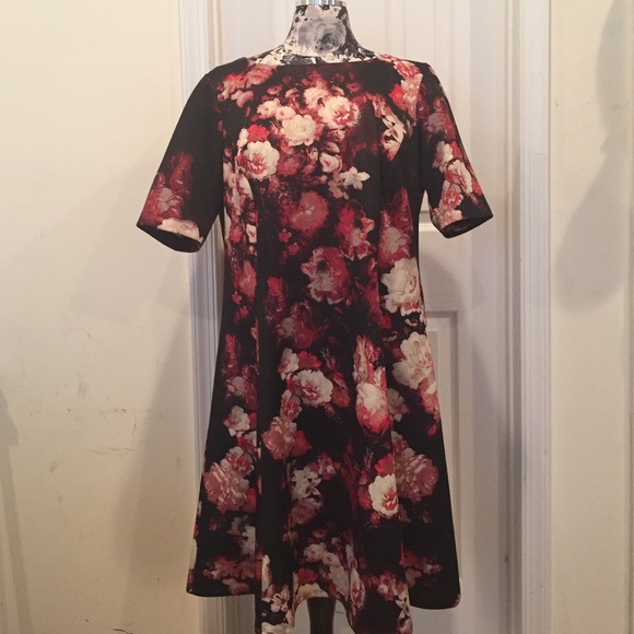 Danny and Nicole plus size floral dress