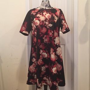 Danny and Nicole plus size floral dress