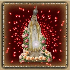 Meet your Posher, Carolina