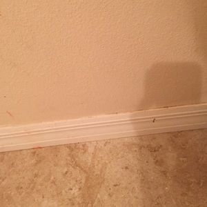 Meet your Posher, Yasmine