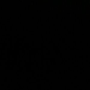 Meet your Posher, Danice