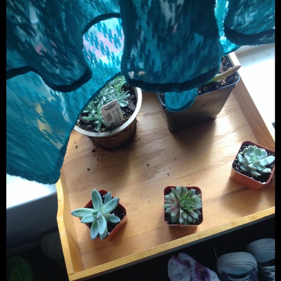 SOLD - Picture 2 of 3