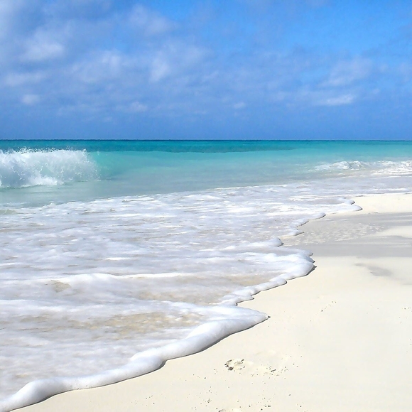 Meet your Posher, Linda - Picture 1 of 1