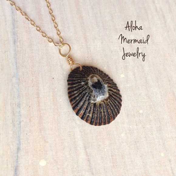 AlohaMermaidJewelry Jewelry - Hawaiian Opihi Shell Gold Pendant Beach Nautical