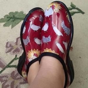 Meet your Posher, Joanne