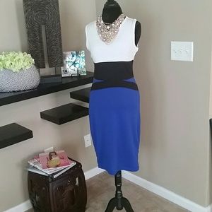 Sexy Fitted Dress - Size Large
