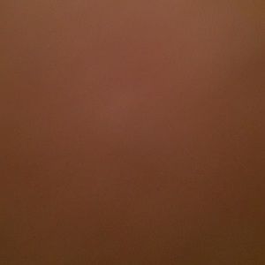 Meet your Posher, Destinee