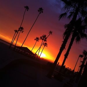 Meet your Posher, Donella