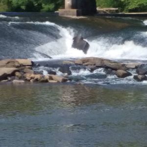 Meet your Posher, Latasha