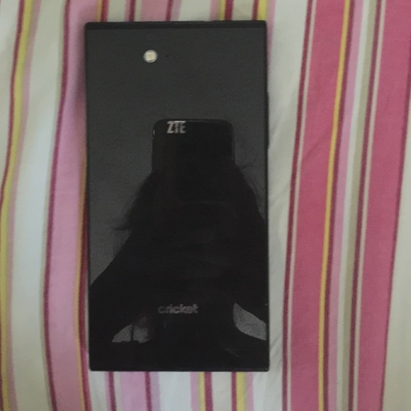 ZtE grand max
