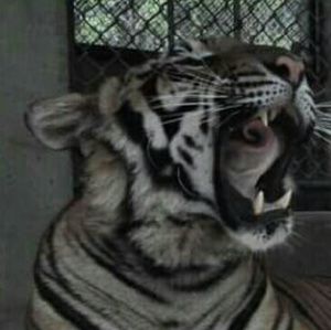 Meet your Posher, Candice