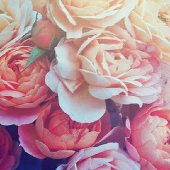 Meet your Posher, Natali - Picture 1 of 1