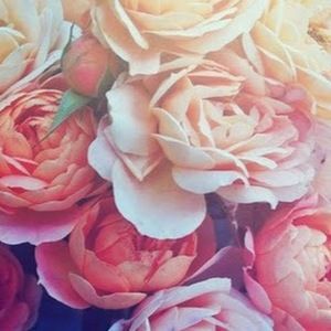 Meet your Posher, Natali