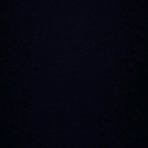 Meet your Posher, Maddie