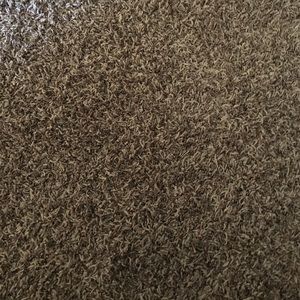 Meet your Posher, Lorin