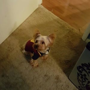 Meet your Posher, Paris