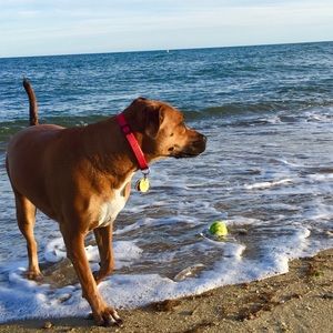 Meet your Posher, Mic