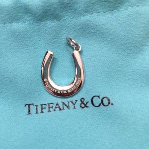 ❌SOLD❌⚡️1 DAY SALE ⚡️ Tiffany & Co Horseshoe Charm