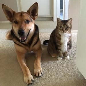 Meet your Posher, Renee