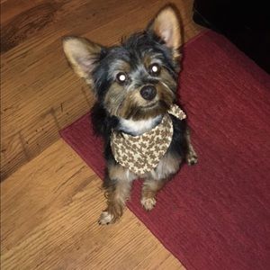 Meet your Posher, Mindy