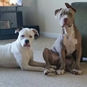 Meet your Posher, Lindsay