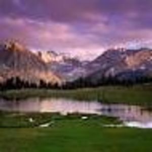 Meet your Posher, Bethann