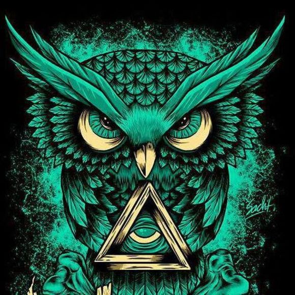 Meet your Posher, Nicholas - Picture 1 of 1