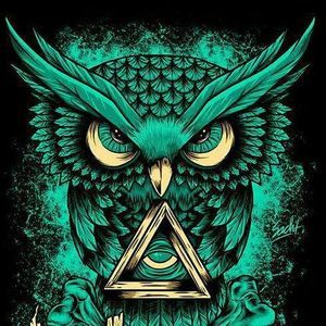 Meet your Posher, Nicholas