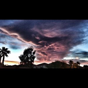 Meet your Posher, Brie