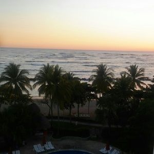 Meet your Posher, Lupe