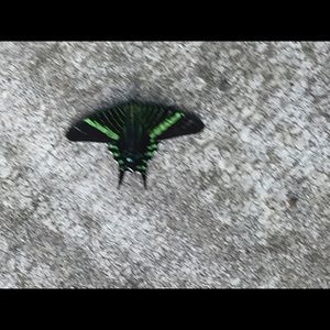 Meet your Posher, Catherine