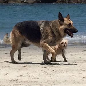 Meet your Posher, Robin