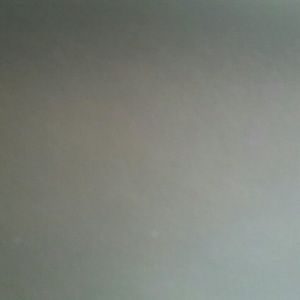 Meet your Posher, Latisha