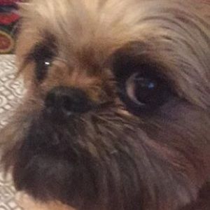 Meet your Posher, Isabel