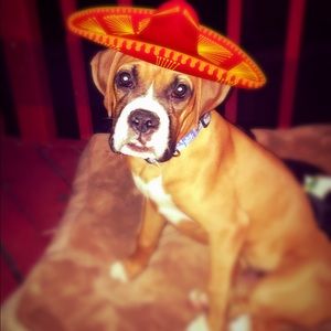 Meet your Posher, Angie