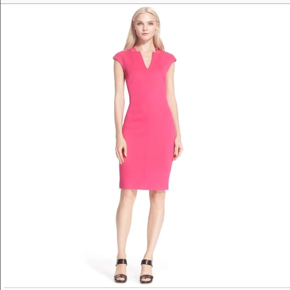 NWT Ted baker diah body con dress