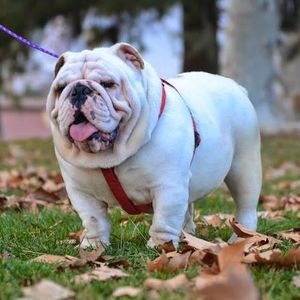 Meet your Posher, Juan-norma