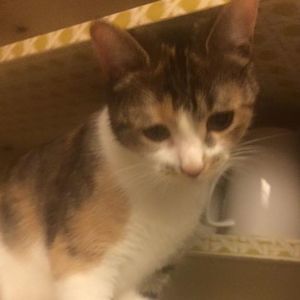 Meet your Posher, Marie