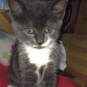 Meet your Posher, Jesse