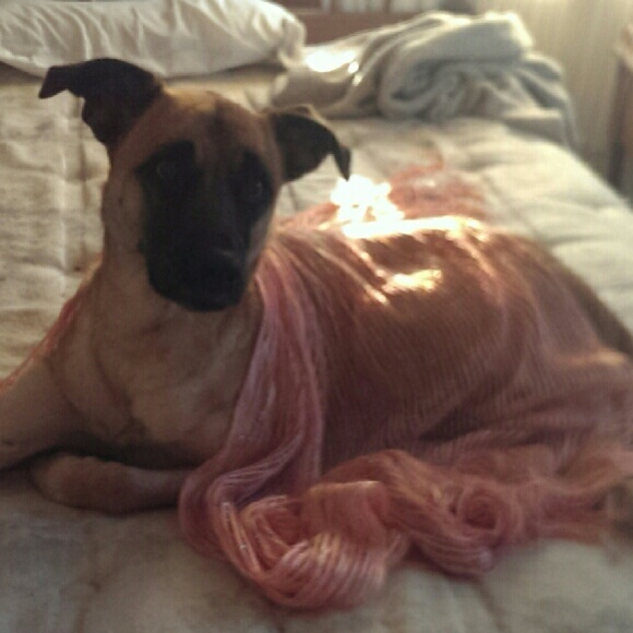 Meet your Posher, GingerG?? - Picture 2 of 4