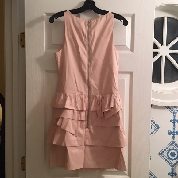 Greylin Blush Cocktail Dress - Picture 2 of 3