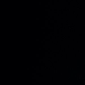 Meet your Posher, Addie