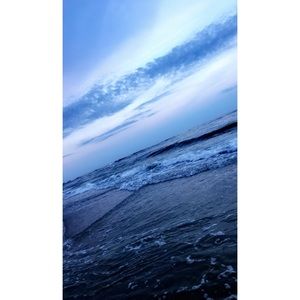 Meet your Posher, Nellie